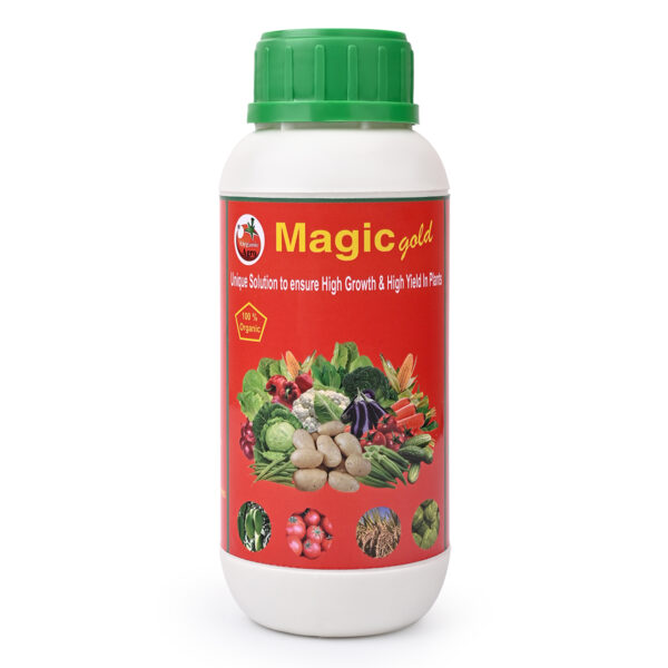 MAGIC GOLD