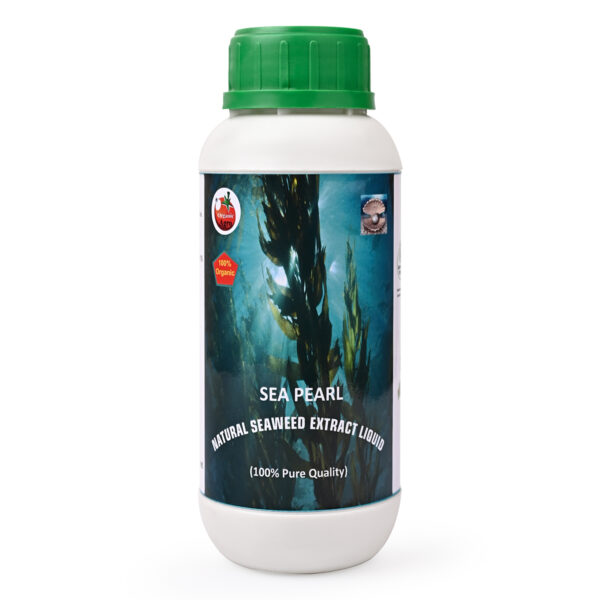 SEA PEARL LIQUID