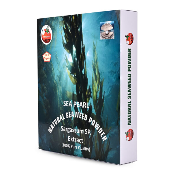 SEA PEARL POWDER - Image 3
