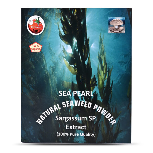 SEA PEARL POWDER