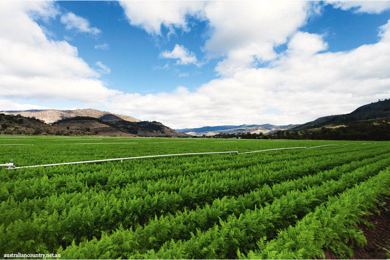 Empowering Australian Farmers with Organic Agricultural Solutions